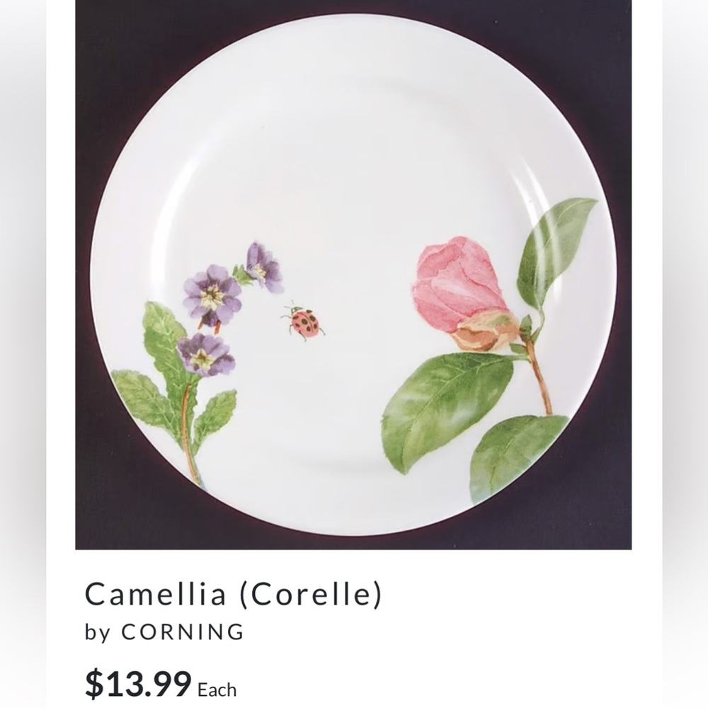 Corelle Floral & Lady Bug Patterned Dinner Plates 9" Set of 7 plates - Picture 2 of 5